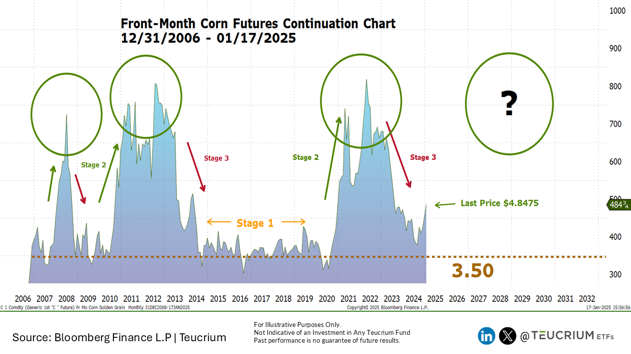 20250117 Golden Grain Corn